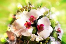 СВАДЕБНЫЙ БУКЕТ НЕВЕСТЫ: ТРАДИЦИИ И ОБЫЧАИ