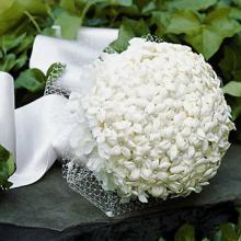 КАК ПРАВИЛЬНО ВЫБРАТЬ СВАДЕБНЫЙ БУКЕТ ДЛЯ НЕВЕСТЫ?